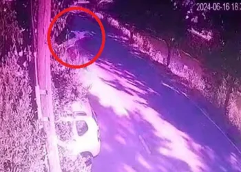 Bursa’da ehliyetsiz sürücü dereye uçtu