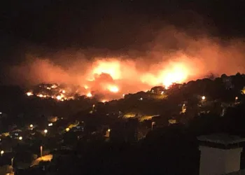 İzmir’deki orman yangını kontrol altında