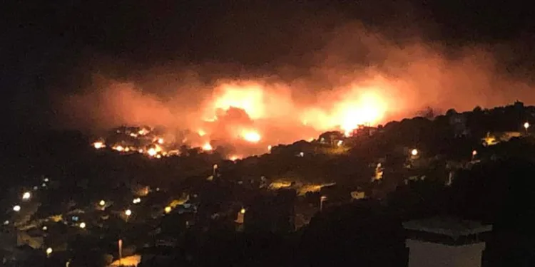 İzmir’deki orman yangını kontrol altında