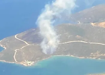 Urla’da orman yangını