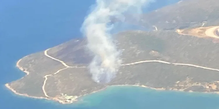 Urla’da orman yangını