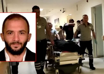 Bursa’da ıhlamur ağacından düşen adam hayatını kaybetti