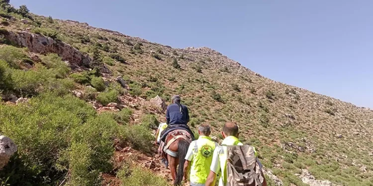 Siirt’te dağ başında rahatsızlanan çoban at sırtında ambulansa ulaştırıldı