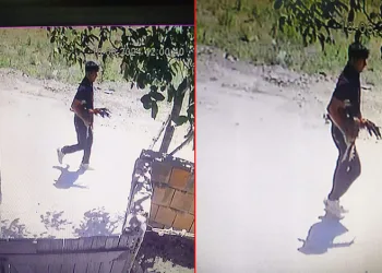 Bursa’da çiftlikteki horozu çalıp kaçtı