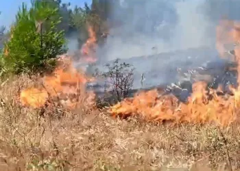 Bursa’da anız yangını, ormana sıçramadan kontrol altına alındı