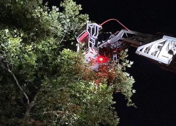 İnegöl’de itfaiyenin keser operasyonu
