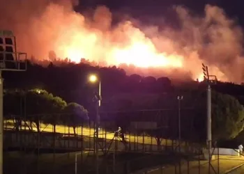 İzmir’deki orman yangını kontrol altında