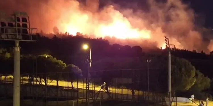 İzmir’deki orman yangını kontrol altında
