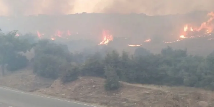 Kahramanmaraş’ta iki ayrı alanda örtü yangını