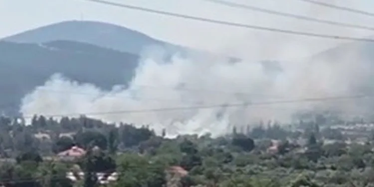 Yatağan’da sazlık alanda yangın