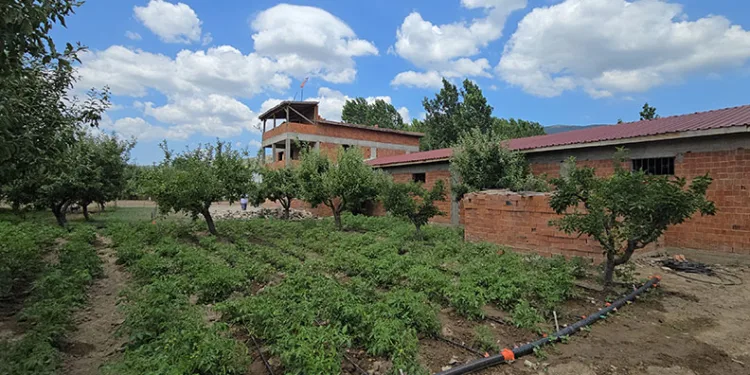 Tokat’ta alacak verecek meselesi kanlı bitti