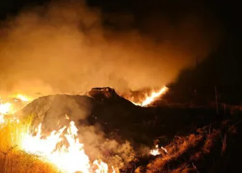 Şırnak’ın Suriye sınırında anız yangını