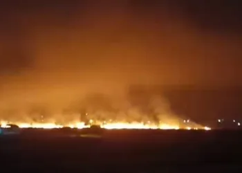 Mardin’de çıkan anız yangını söndürüldü
