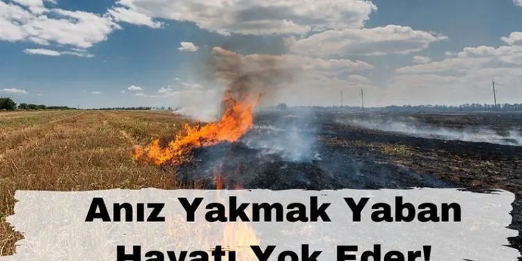 Batman’da anız yakanlara ceza