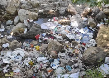 Piknikçiler mesire alanını çöplüğe çevirdi