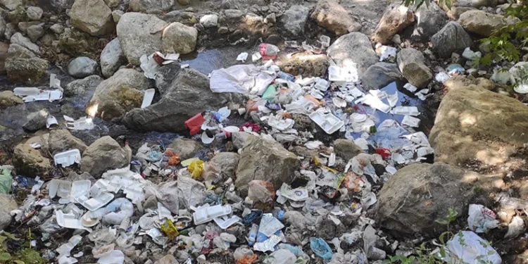 Piknikçiler mesire alanını çöplüğe çevirdi