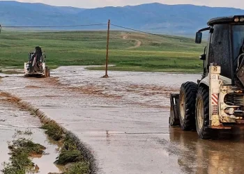 Van’da sel: 2 büyükbaş, 100’e yakın küçükbaş hayvan telef oldu