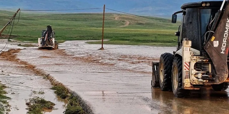 Van’da sel: 2 büyükbaş, 100’e yakın küçükbaş hayvan telef oldu