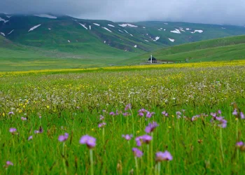 Gümüşhane dağları baharın renklerine büründü