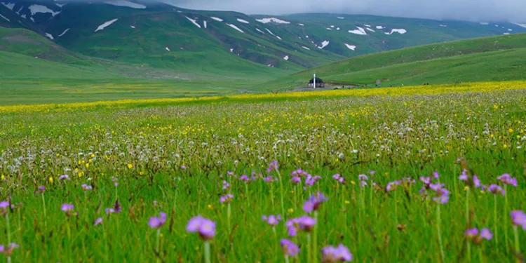 Gümüşhane dağları baharın renklerine büründü