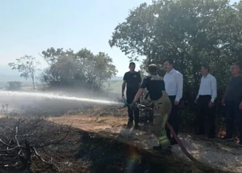 Yenişehir’deki yangın korkuttu
