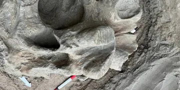 Kırgızistan’daki bir taş ocağında mamut kemikleri bulundu