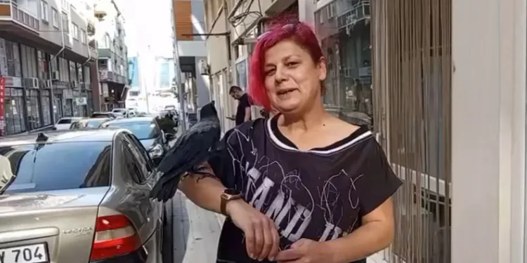 Bursa’da kedinin ağzından aldığı karga ile dost oldu