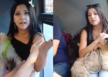 Köpekle otobüse bindi, tepki gösteren yolcularla tartıştı