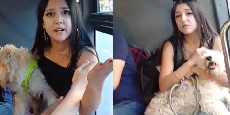 Köpekle otobüse bindi, tepki gösteren yolcularla tartıştı