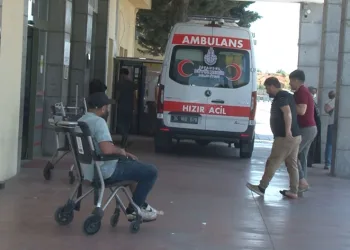 İstanbul’da acemi kasaplar hastanelik oldu