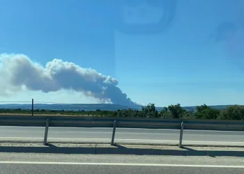Çanakkale’de orman yangını