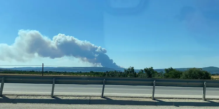 Çanakkale’de orman yangını