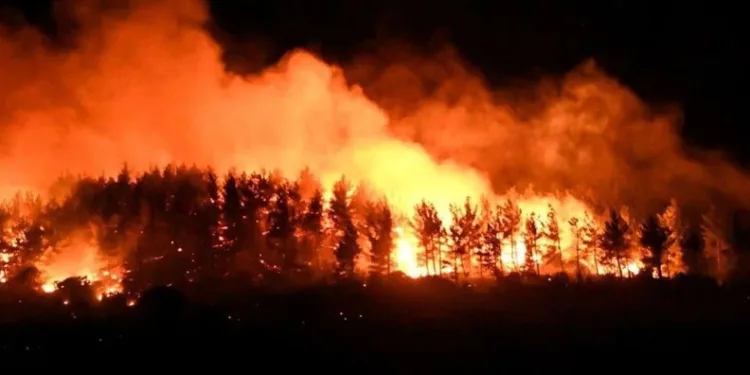 Çanakkale’deki orman yangını kontrol altında