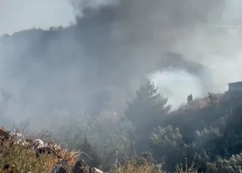 İznik’te çöp döküm alanında yangın