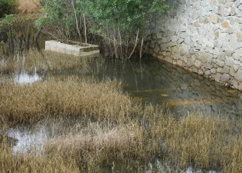 Her yıl sular altında kalan 50 mezarlık taşınacak