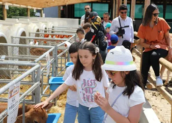 Dünya Süt Günü’nü coşkuyla kutlandılar