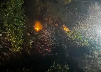 Kozan’da orman yangını