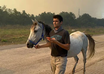 Ormanlarının yarısı alevlere teslim oldu