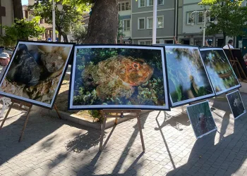 Bursa’da ‘Marmara Deniz’ini temiz bırakalım’ etkinliği