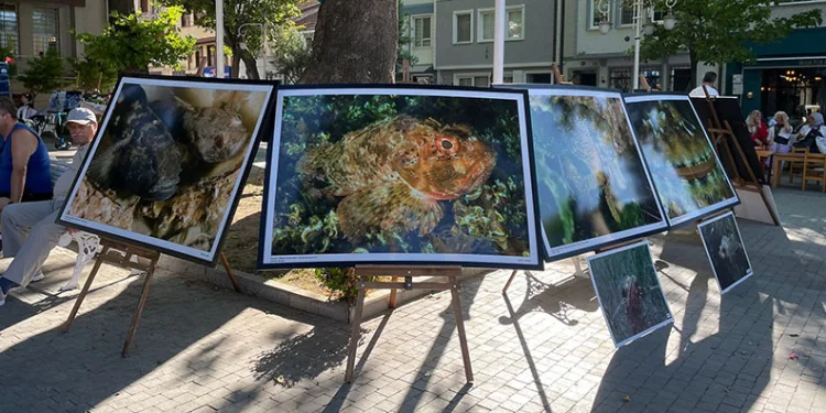 Bursa’da ‘Marmara Deniz’ini temiz bırakalım’ etkinliği