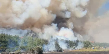 Çanakkale’de orman yangını