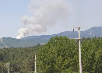 Bursa’da orman yangını