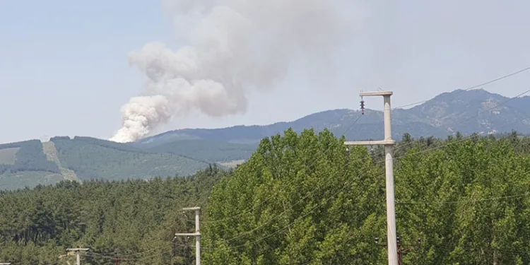 Bursa’da orman yangını