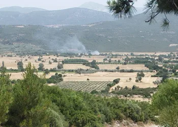 Anız yangını ormana sıçramadan söndürüldü