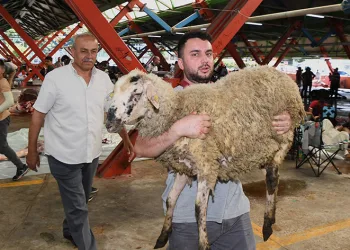 Osmangazi’de kurbanlıklar hijyenik ortamlarda kesildi