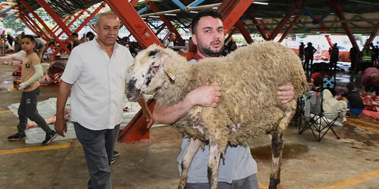 Osmangazi’de kurbanlıklar hijyenik ortamlarda kesildi