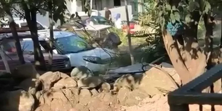 Düğün magandaları kamerada