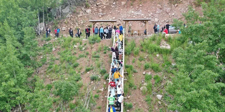 Doğaseverlerin gözde mekanı Ortaseki Ormanları