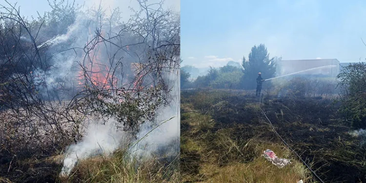 Yalova’da arazi yangını