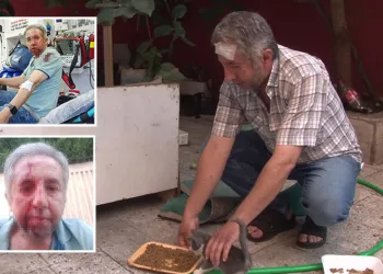 Sokak hayvanlarını beslediği için darp edildi